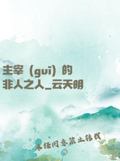 主宰規(guī)則的非人之人