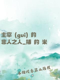 主宰規(guī)則的非人之人