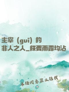 主宰規(guī)則的非人之人