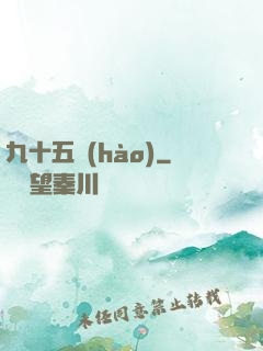 九十五號(hào)