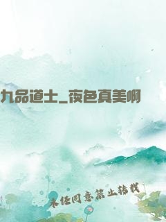 九品道士