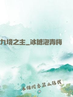 九境之主