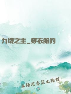 九境之主