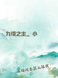 九境之主
