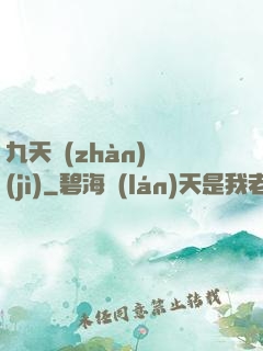 九天戰(zhàn)紀(jì)