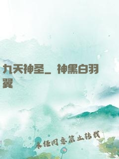 九天神圣