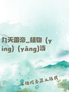 九天雷帝