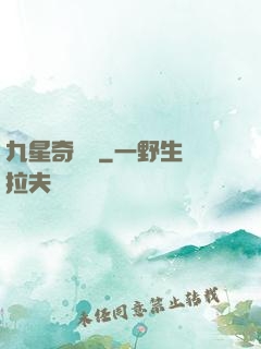 九星奇門決