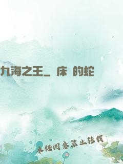 九海之王
