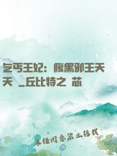 乞丐王妃：腹黑邪王天天寵