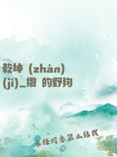 乾坤戰(zhàn)紀(jì)