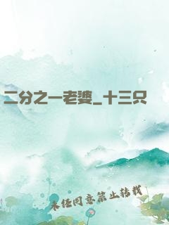 二分之一老婆