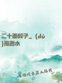 二十面骰子