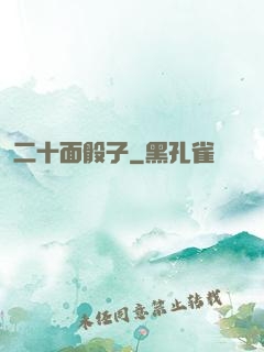 二十面骰子