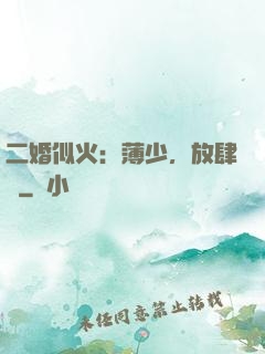 二婚似火：薄少，放肆寵