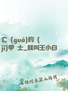 亡國(guó)的機(jī)甲騎士