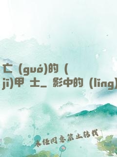 亡國(guó)的機(jī)甲騎士