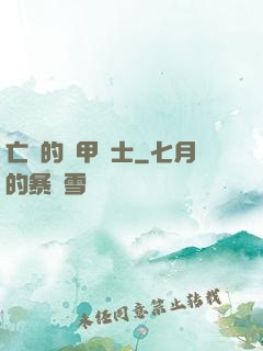 亡國的機甲騎士