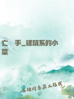 亡靈槍手