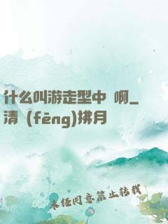 什么叫游走型中單啊