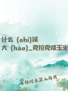 什么時(shí)候換大號(hào)