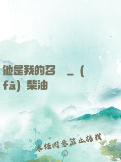 他是我的召喚獸