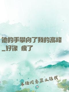 他的手攀向了我的高峰