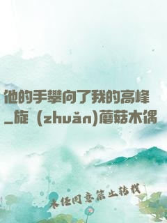 他的手攀向了我的高峰