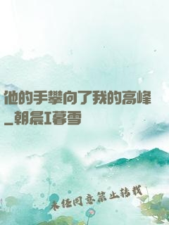 他的手攀向了我的高峰