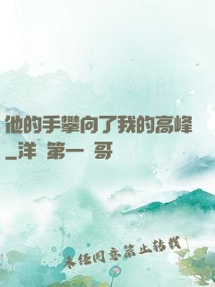 他的手攀向了我的高峰