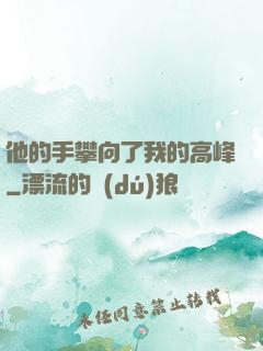 他的手攀向了我的高峰