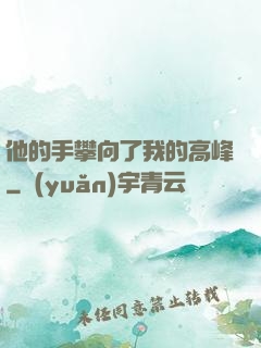 他的手攀向了我的高峰