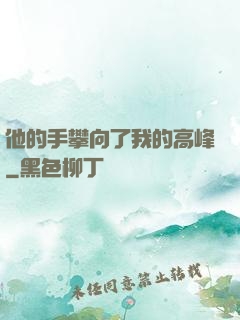 他的手攀向了我的高峰