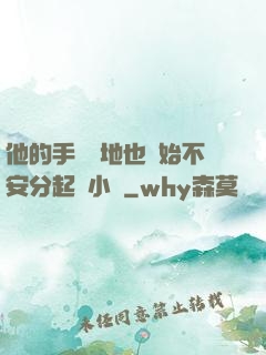 他的手漸漸地也開始不安分起來小說