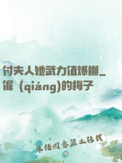付夫人她武力值爆棚