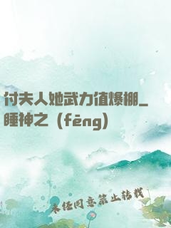 付夫人她武力值爆棚