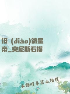 低調(diào)做皇帝