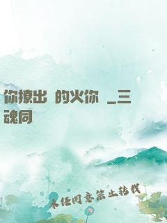 你撩出來的火你滅