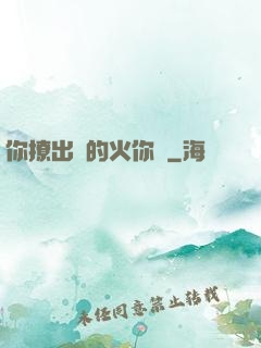你撩出來的火你滅