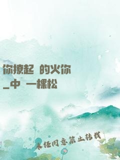 你撩起來的火你負責滅