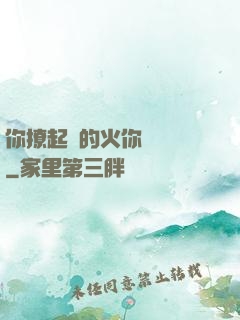 你撩起來的火你負責滅