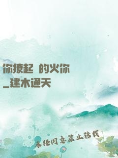 你撩起來的火你負責滅