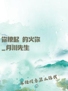 你撩起來的火你負責滅
