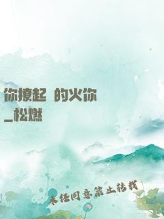 你撩起來的火你負責滅