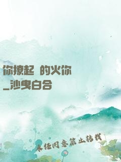 你撩起來的火你負責滅