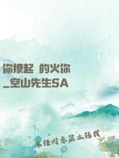 你撩起來的火你負責滅