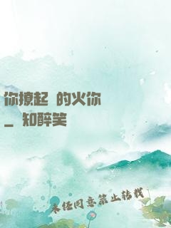 你撩起來的火你負責滅