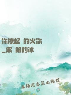 你撩起來的火你負責滅