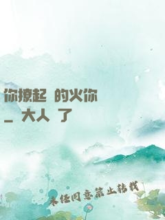 你撩起來的火你負責滅