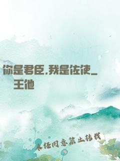 你是君臣,我是佐使